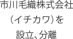 市川毛織株式会社（イチカワ）を設立、分離