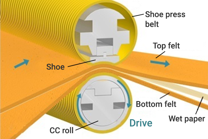 Shoe press belts